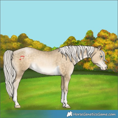 Horse Color:Silver Buckskin Pearl Tobiano Varnish Rabicano 