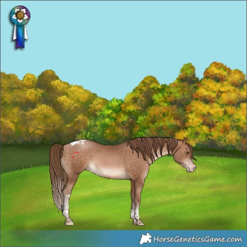 Horse Color:Brown Pearl Tobiano Varnish 