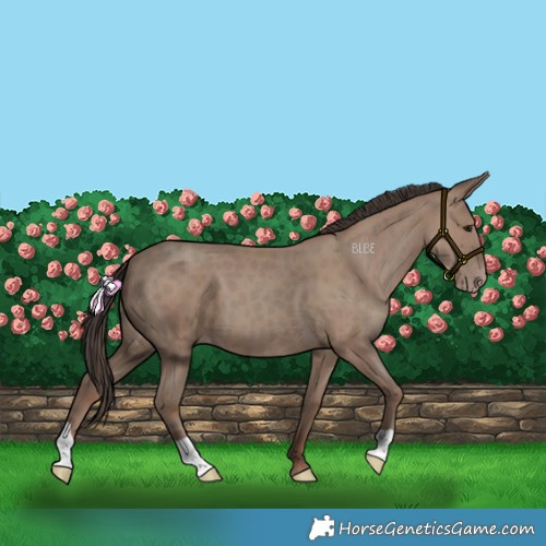 Horse Color:Classic Champagne 