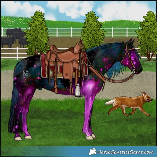 Horse Color:ERROR: UNKNOWN ANOMALY