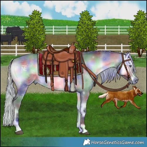 Horse Color:Nacre Silver Brown Chinchilla Onyx 