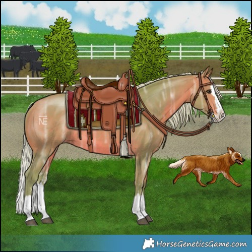 Horse Color:Watercolor Silver Bay Ice Sabino Splash Rabicano