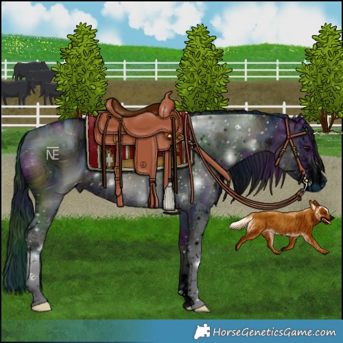 Horse Color:ERROR: UNKNOWN ANOMALY