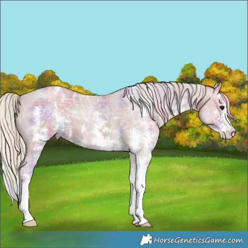 Horse Color:Nacre Watercolor Silver Smoky Black Ice Sabino 
