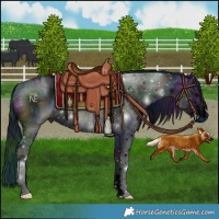 Horse Color:ERROR: UNKNOWN ANOMALY