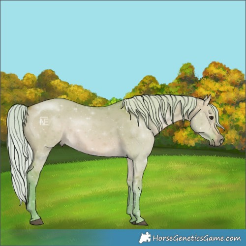 Horse Color:Watercolor Silver Bay Dun Rabicano