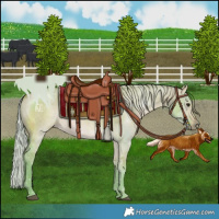 Horse Color:Watercolor Silver Bay Dun Rabicano 