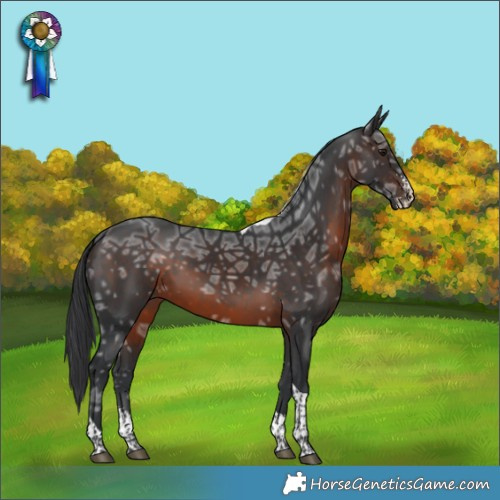 Horse Color:Brown Ice Sabino Tobiano Rabicano