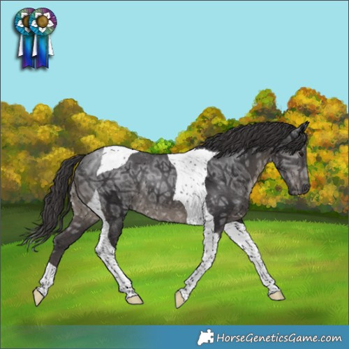 Horse Color:Smoky Black Ice Tobiano Rabicano