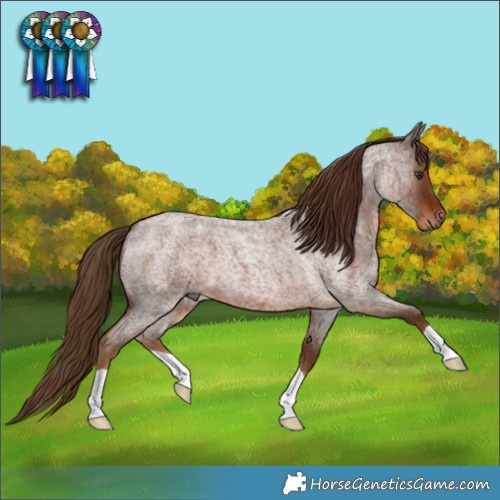 Horse Color:Gray Red Roan 