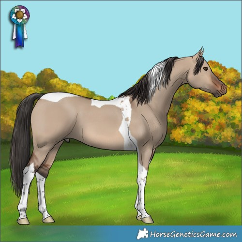Horse Color:Brown Dun Tobiano