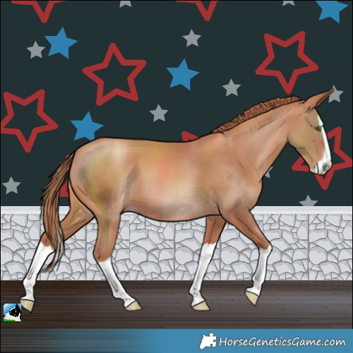 Horse Color:Gold Champagne Splash