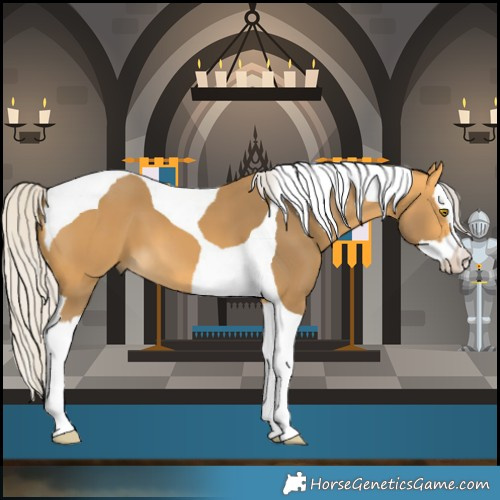 Horse Color:Silver Buckskin Splash Tobiano