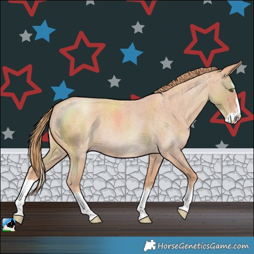 Horse Color:Gold Champagne Roan Splash