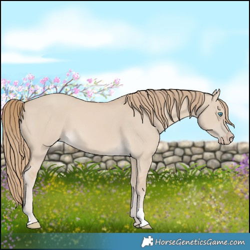 Horse Color:Smoky Creme Dun