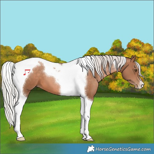 Horse Color:Silver Bay Pearl Tobiano