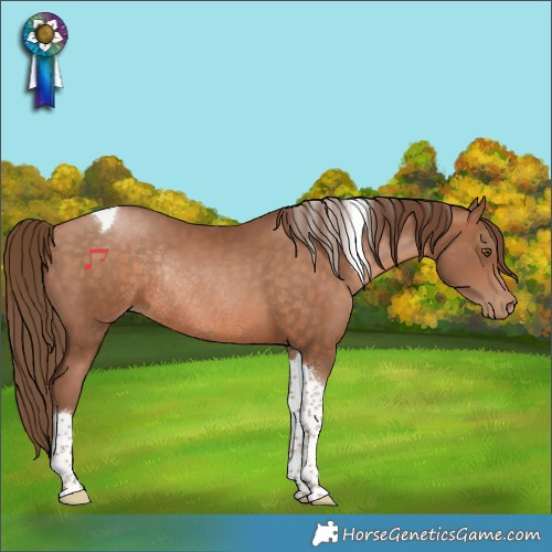 Horse Color:Brown Pearl Tobiano Rabicano