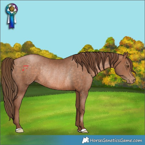 Horse Color:Brown Pearl Rabicano