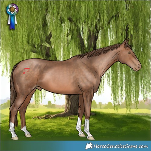 Horse Color:Brown Pearl 