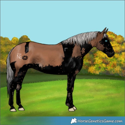 Horse Color:Void Silver Bay Splash Tobiano
