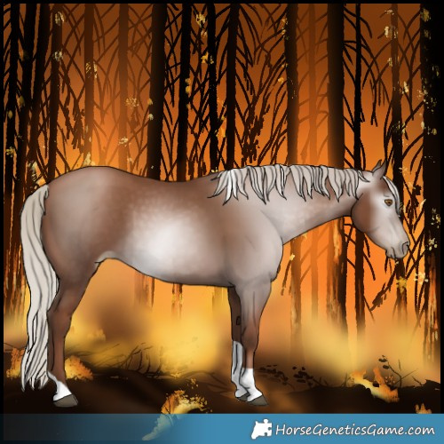 Horse Color:Gray Silver Black Pearl Tobiano