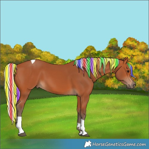 Horse Color:Painted Silver Bay Tobiano 