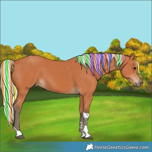 Horse Color:Painted Silver Bay Tobiano
