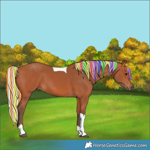Horse Color:Painted Silver Bay Tobiano 