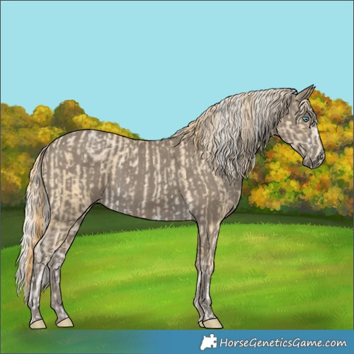 Horse Color:Smoky Black Pearl Sabino  and Silver Smoky Black 