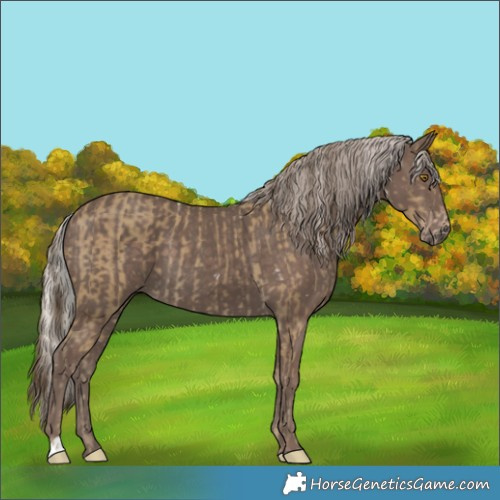 Horse Color:White Spotted Classic Cream Champagne  and Silver Black 