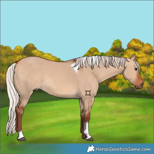Horse Color:Chocolate Silver Bay Dun Tobiano 