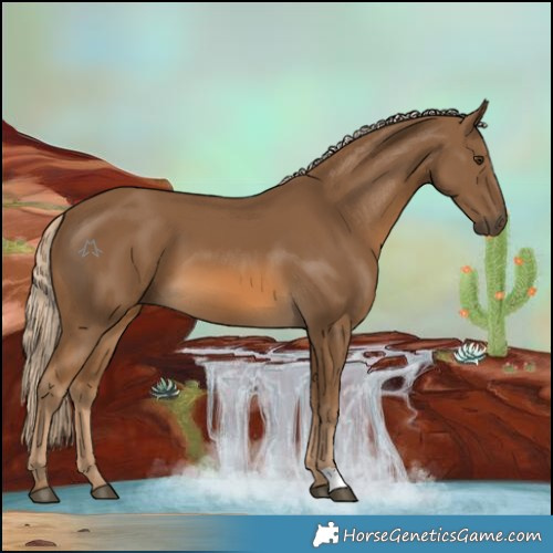 Horse Color:Chocolate Palomino 