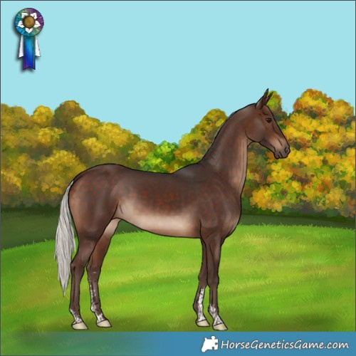 Horse Color:Silver Brown Sabino