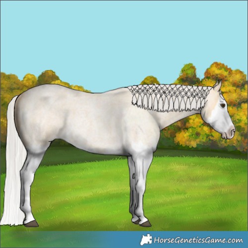 Horse Color:Silver Buckskin Roan Splash