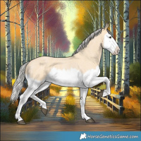 Horse Color:Silver Buckskin Roan Splash 