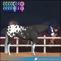 Horse Color:Smoky Black Splash Blanket 