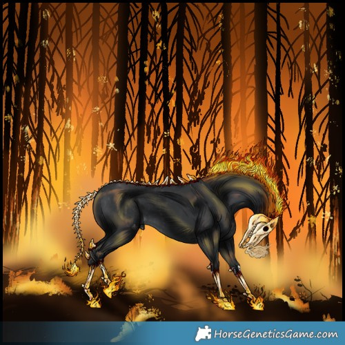 Horse Color:Black Varnish