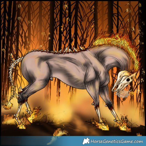 Horse Color:Platinum Bay