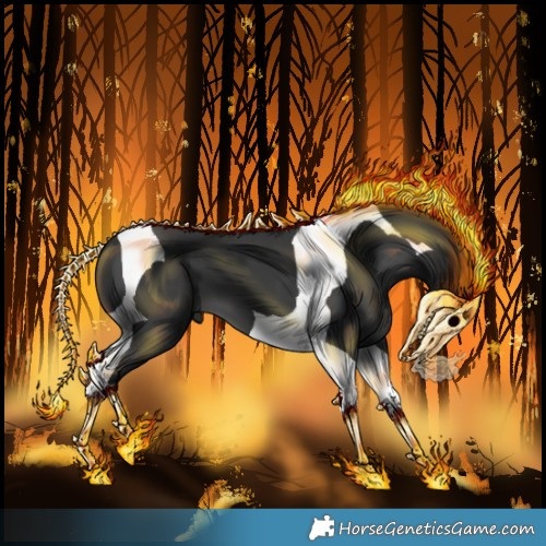 Horse Color:Black Tobiano 
