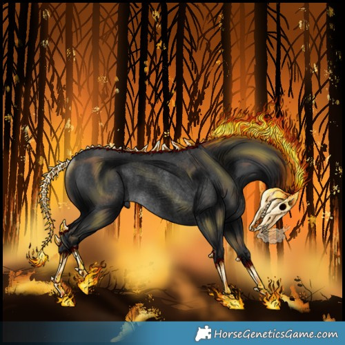 Horse Color:Black Rabicano 