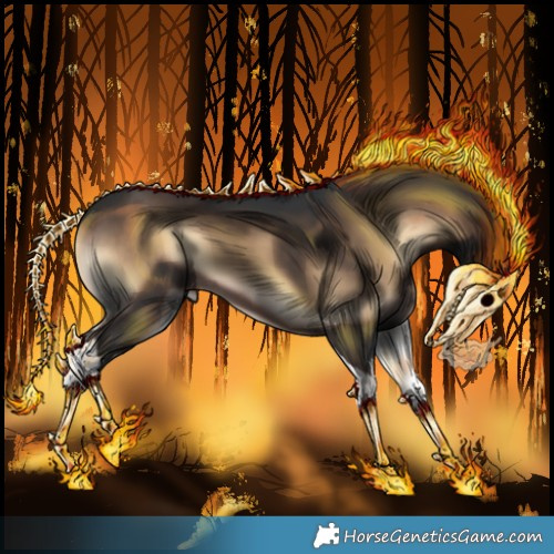 Horse Color:Brown Onyx Splash