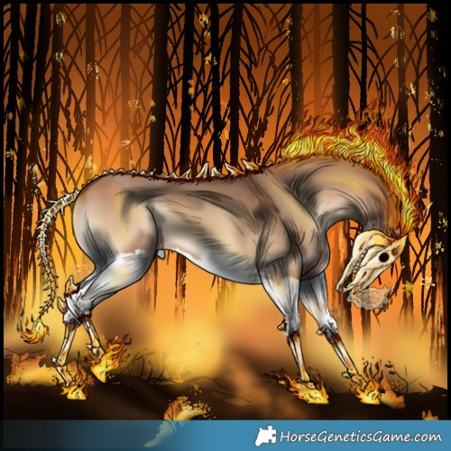 Horse Color:Bay Onyx Splash