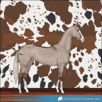 Horse Color:Liver Red Dun Mushroom 