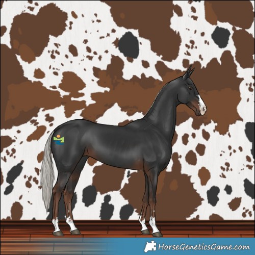 Horse Color:Liver Chestnut Mushroom