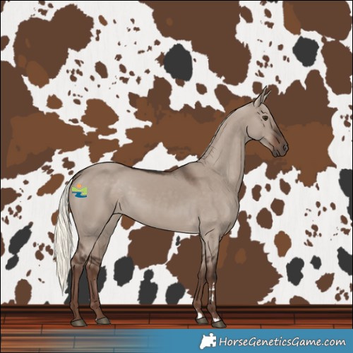 Horse Color:Liver Red Dun Mushroom 
