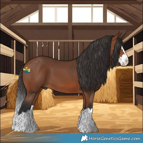 Horse Color:Bay Splash 
