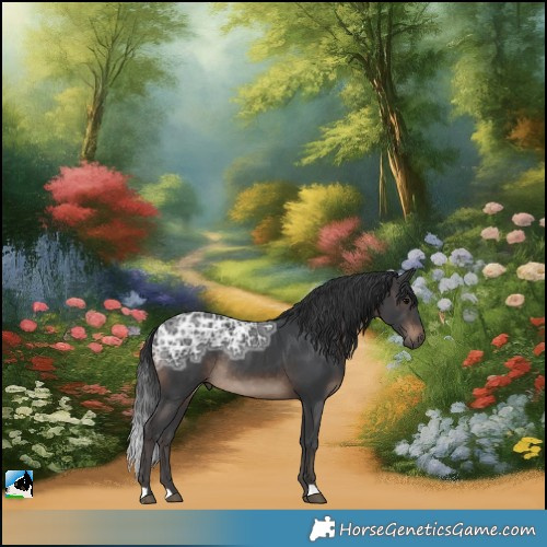 Horse Color:Brown Ice Rabicano