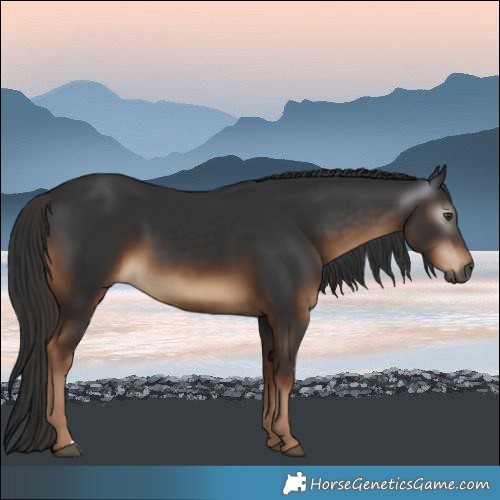 Horse Color:Gray Liver Chestnut 