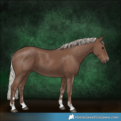Horse Color:Silver Black 