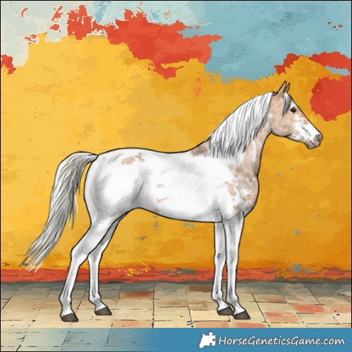 Horse Color:Silver Bay Dun Sabino Tobiano Frame Rabicano